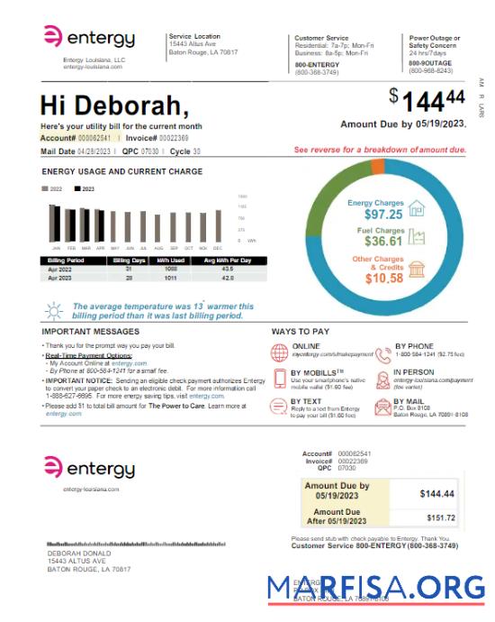 Blank USA ENTERGY utility bill Word and PDF template